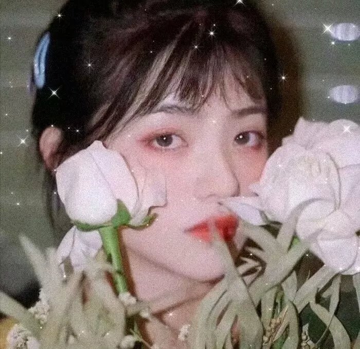 爱情公寓5